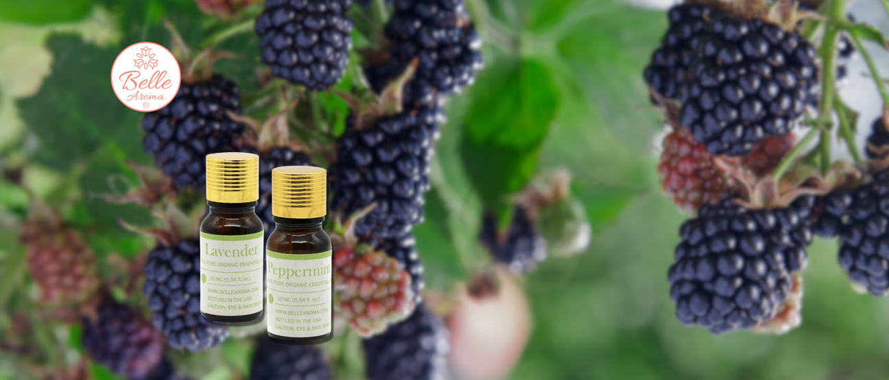 The Scent of a Memory… Avoiding the Bites with Belle Aroma® Peppermint Essential Oil