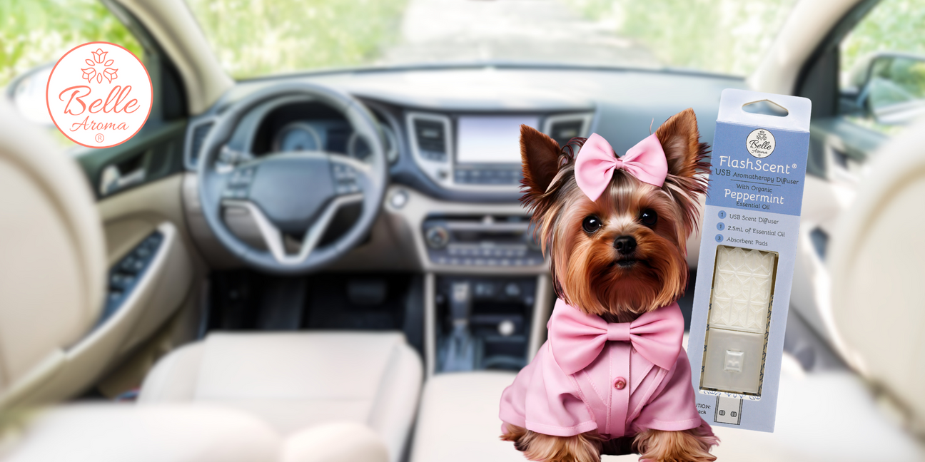 The Scent of a Memory… Enjoy Car Rides with Precious Cargo and FlashScent® USB Aromatherapy Diffuser