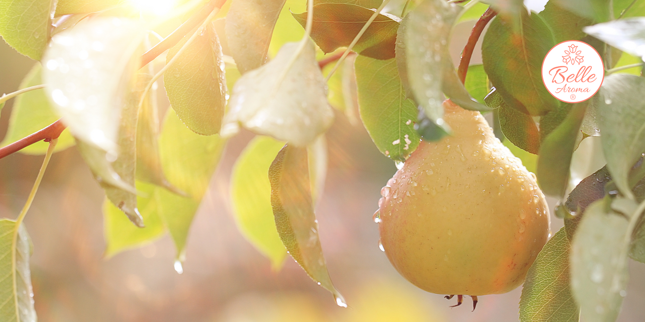 The Scent of a Memory… Sweet Summers