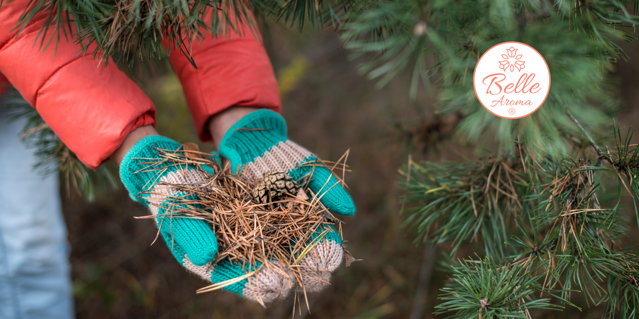 The Scent of a Memory… For Evergreen