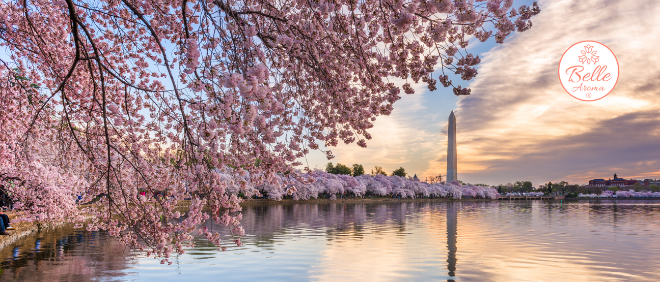 The Nostalgic Nose: Cherry Noir No-Mess Fragrance Tarts® & A First Crush