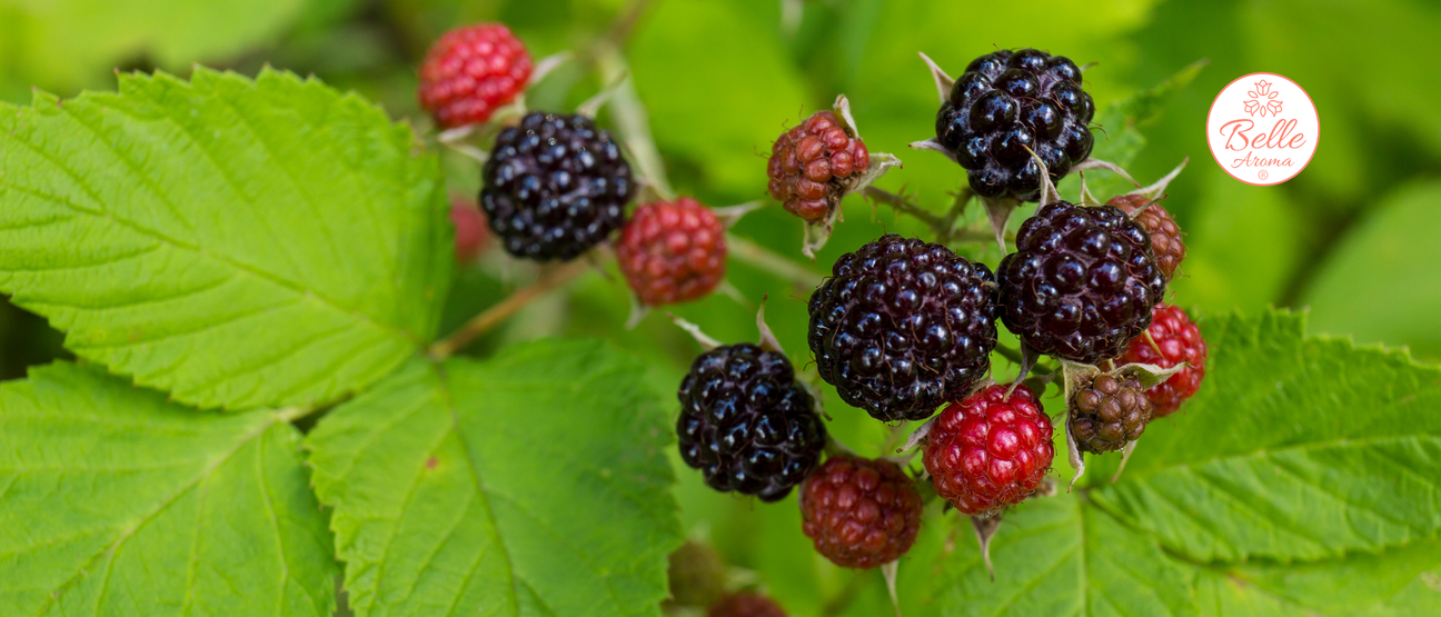 The Scent of a Memory… Early-Morning Road Trip