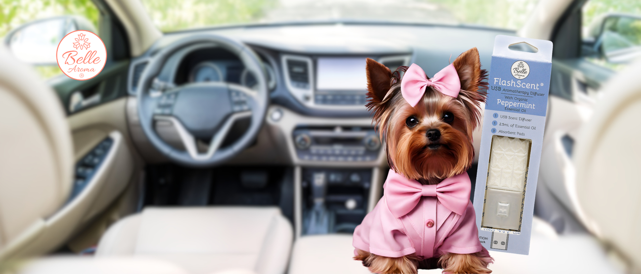 The Scent of a Memory… Enjoy Car Rides with Precious Cargo and FlashScent® USB Aromatherapy Diffuser