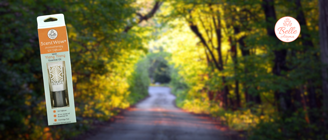 The Scent of a Memory… Experience it Anew with ScentWow®