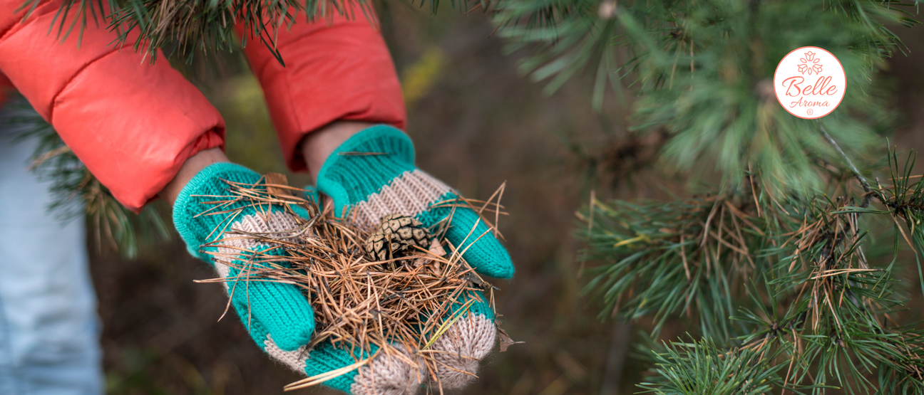 The Scent of a Memory… For Evergreen