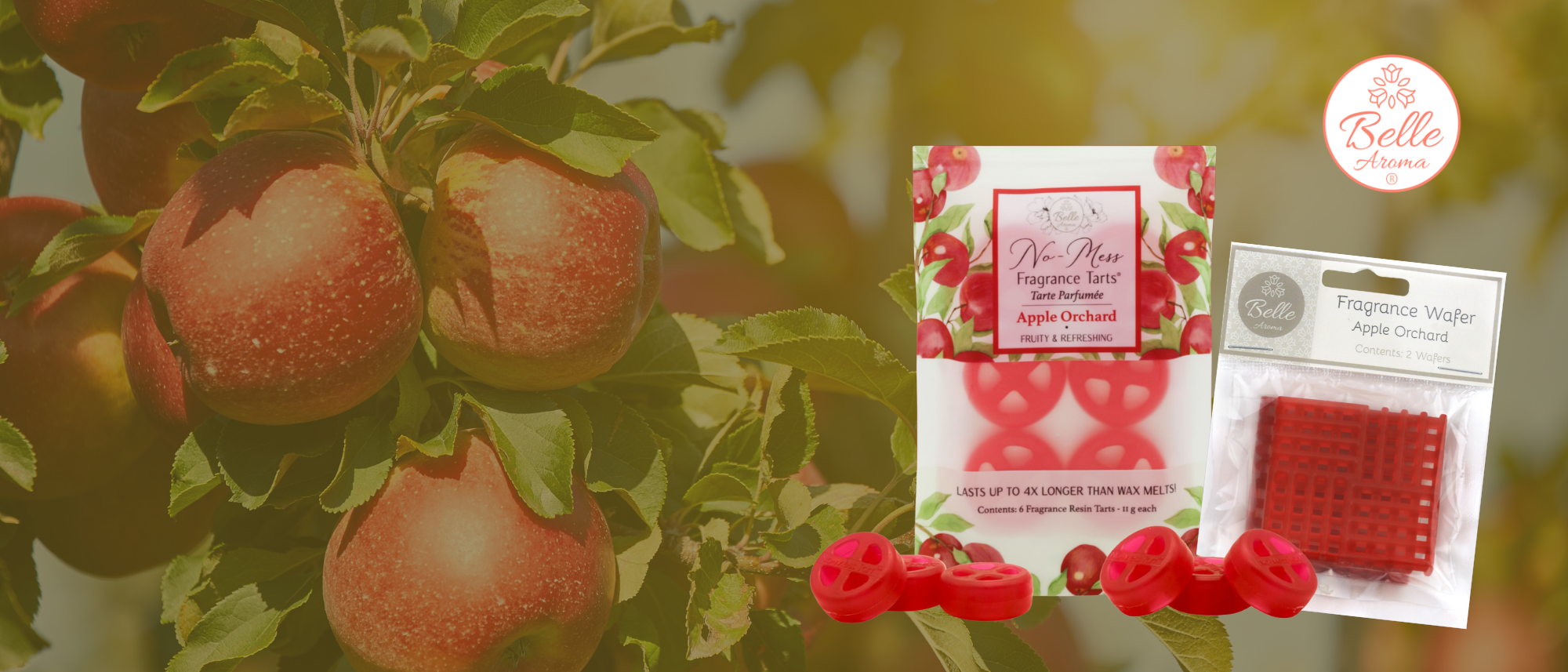 The Nostalgic Nose: In the Old Sandlot, an Apple Orchard Grows