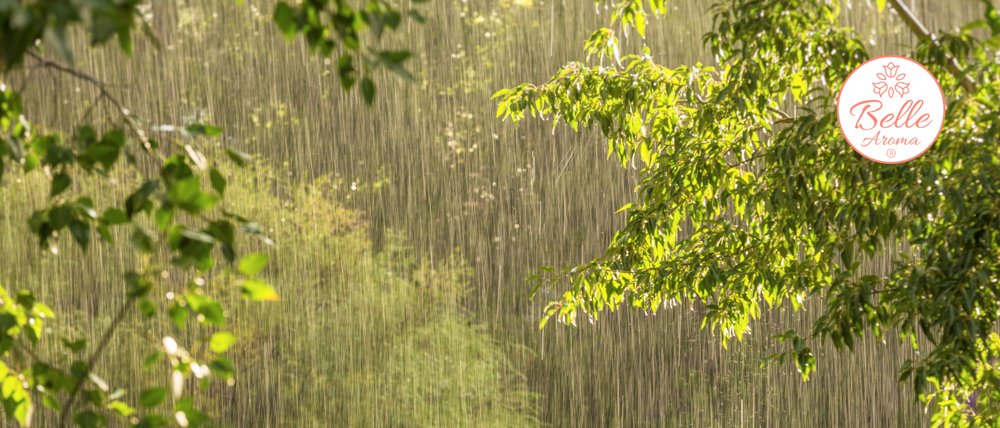 The Nostalgic Nose: Playing in the Rain