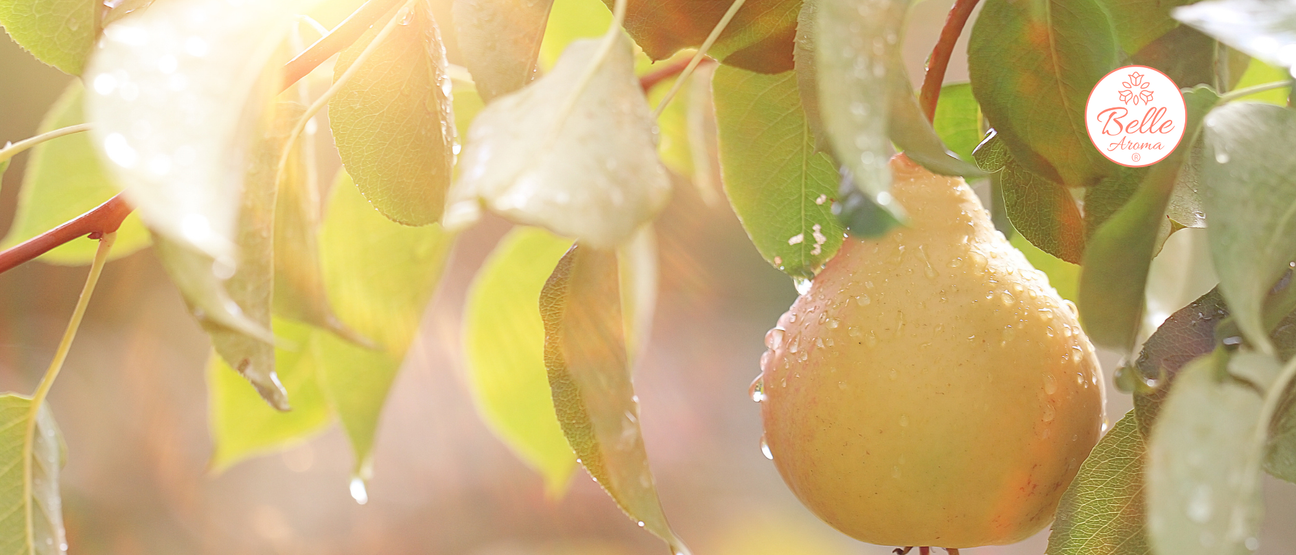 The Scent of a Memory… Sweet Summers