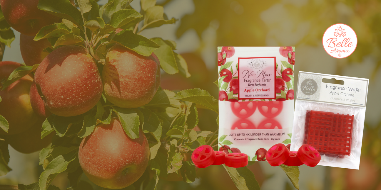 The Nostalgic Nose: In the Old Sandlot, an Apple Orchard Grows
