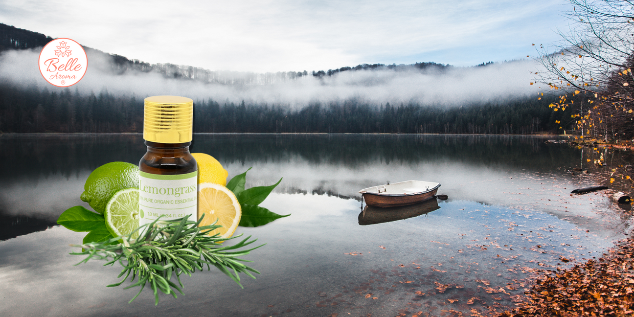 The Scent of a Memory…Camping Season in the Ozarks: Adventures, Bug-Repelling Tips, and Outdoor Diffusers