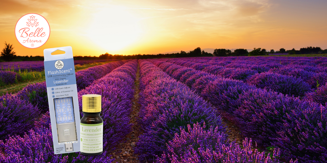 The Scent of a Memory… Twister Chronicles with Lavender Essential Oil
