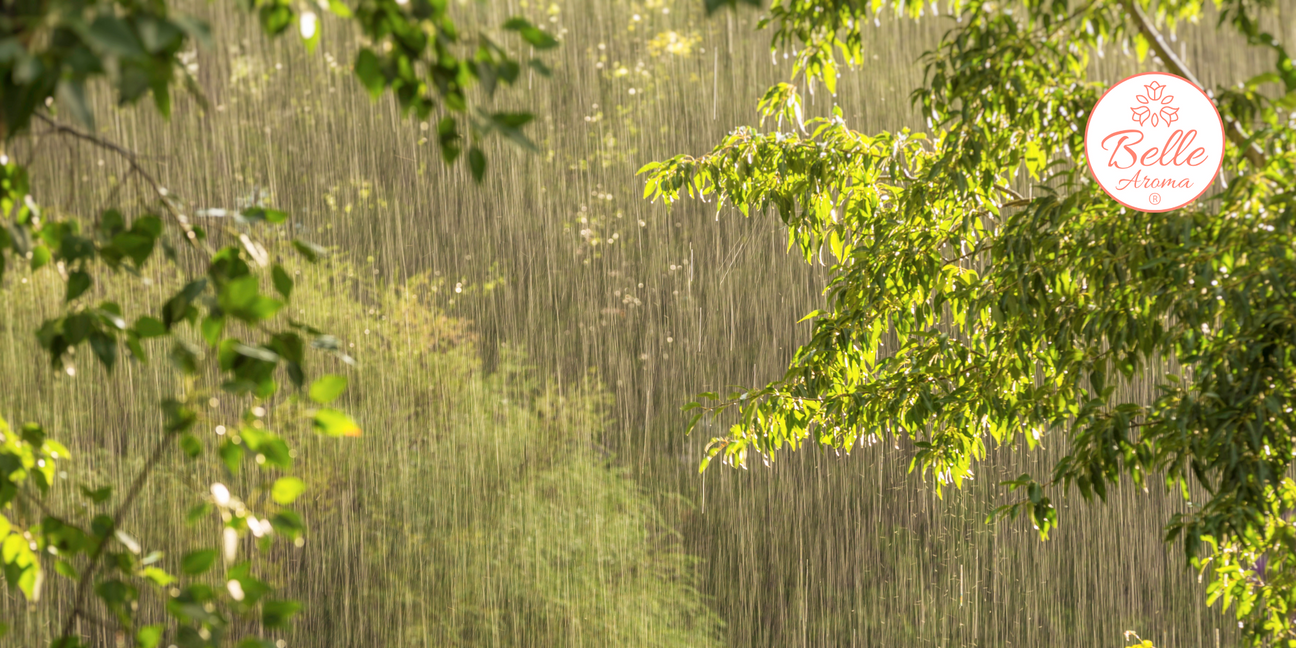 The Nostalgic Nose: Playing in the Rain