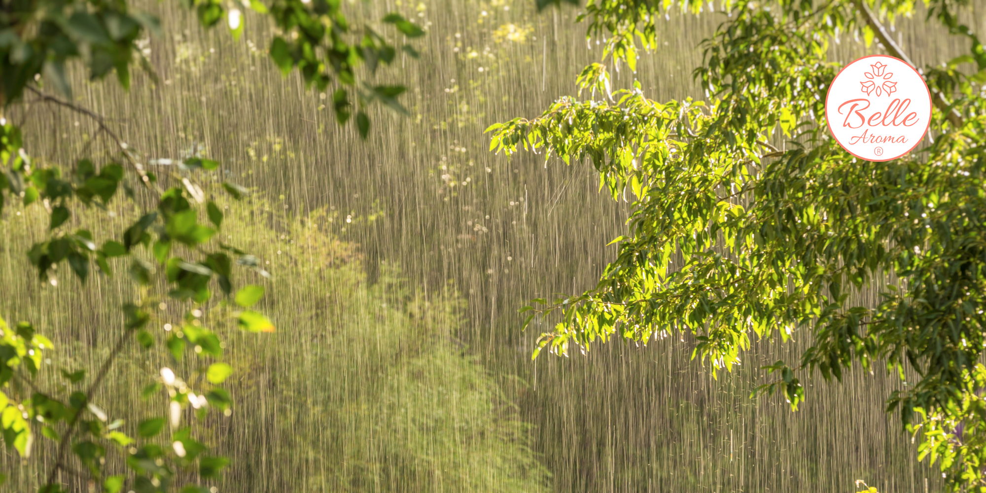 The Nostalgic Nose: Playing in the Rain