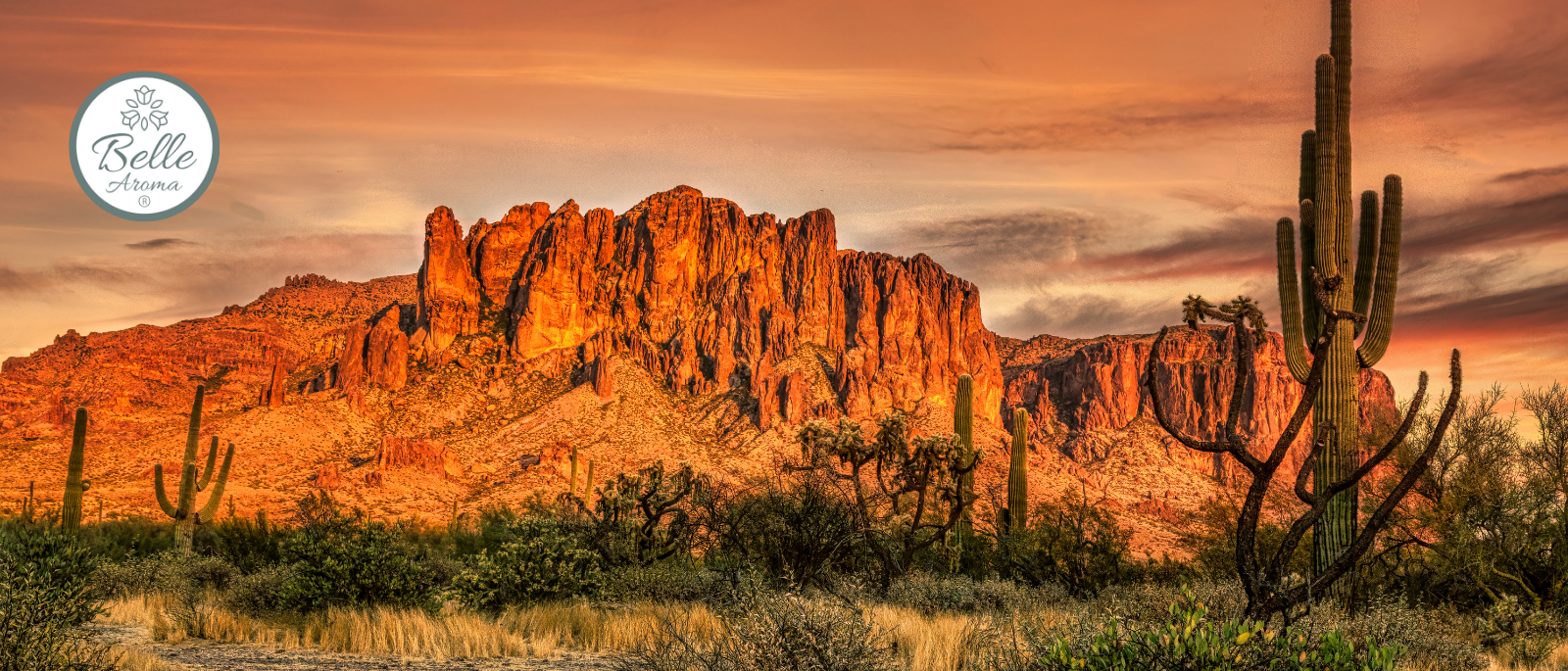 Arizona desert landscape with towering saguaro cacti and rugged red rock mountains under a warm, orange sky, featuring the Belle Aroma logo in the upper left corner.