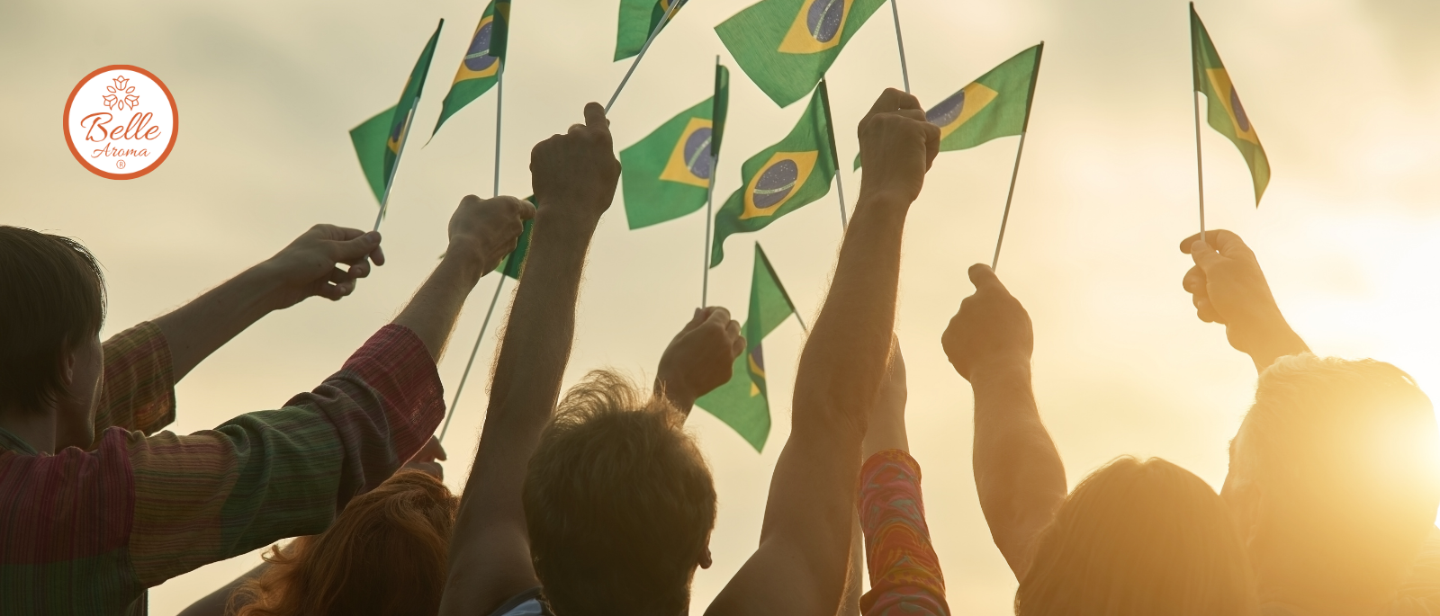 Scents of Adventure: From World Cup Fever to the Wonders of Brazil