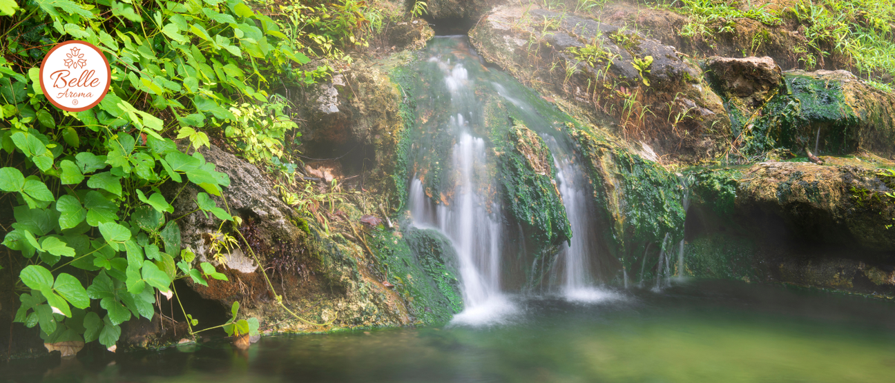 Lush green foliage surrounds a peaceful waterfall and pool in Hot Springs, Arkansas, with the Belle Aroma logo in the upper left.