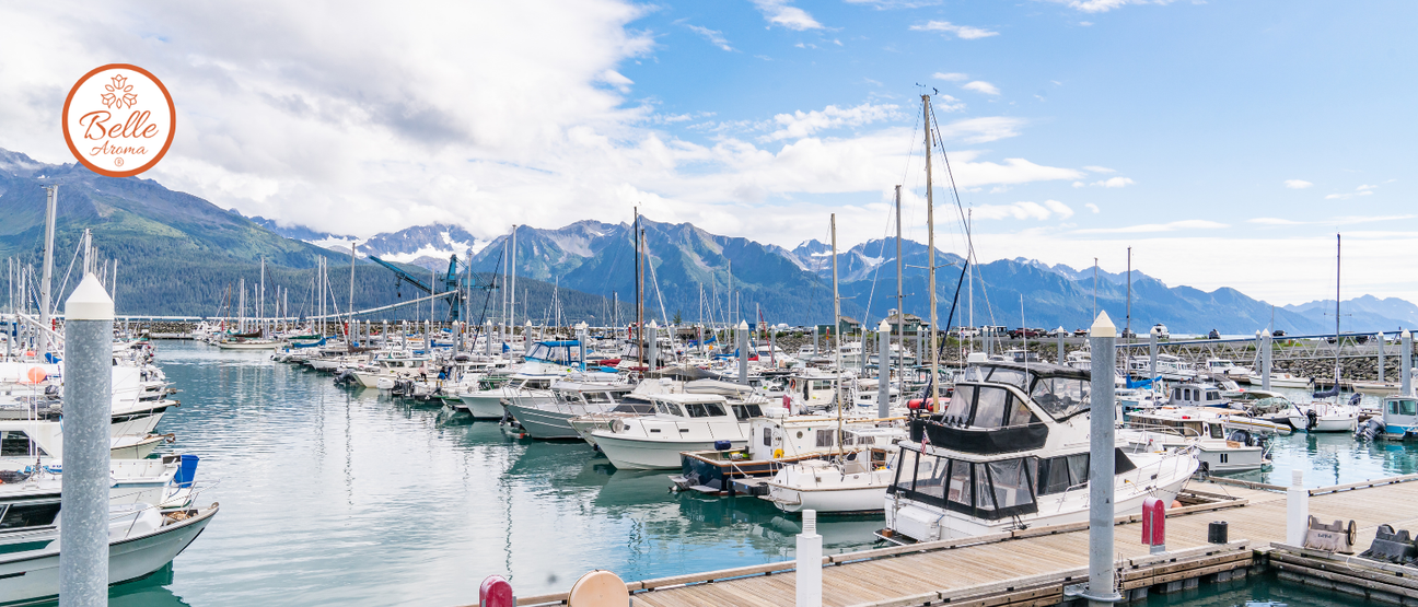 Marina in Seward, Alaska, filled with boats and sailboats, with rugged, snow-capped mountains rising in the background beneath a blue sky.