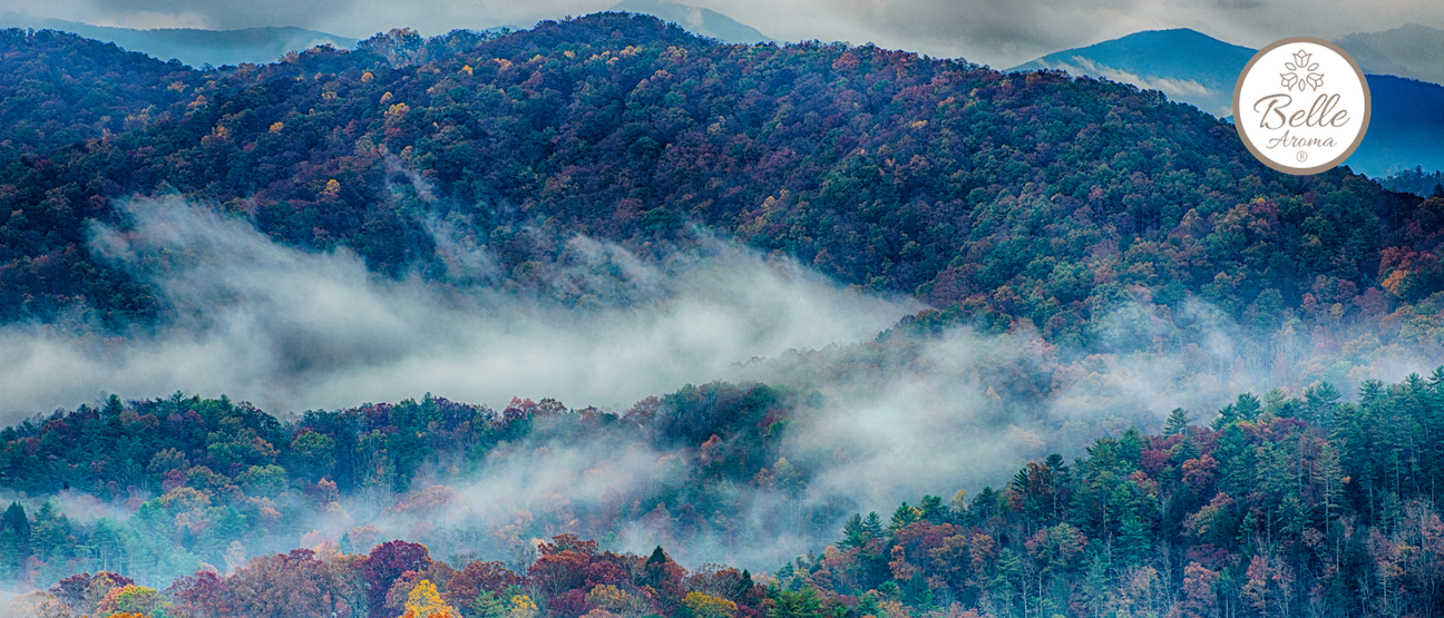 Scents of Adventure: A Mountain Escape Worth Revisiting