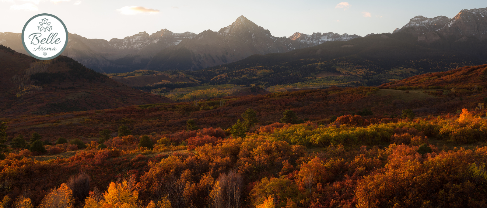 Scents of Adventure: A Scent-Infused Escape to Ouray, Colorado
