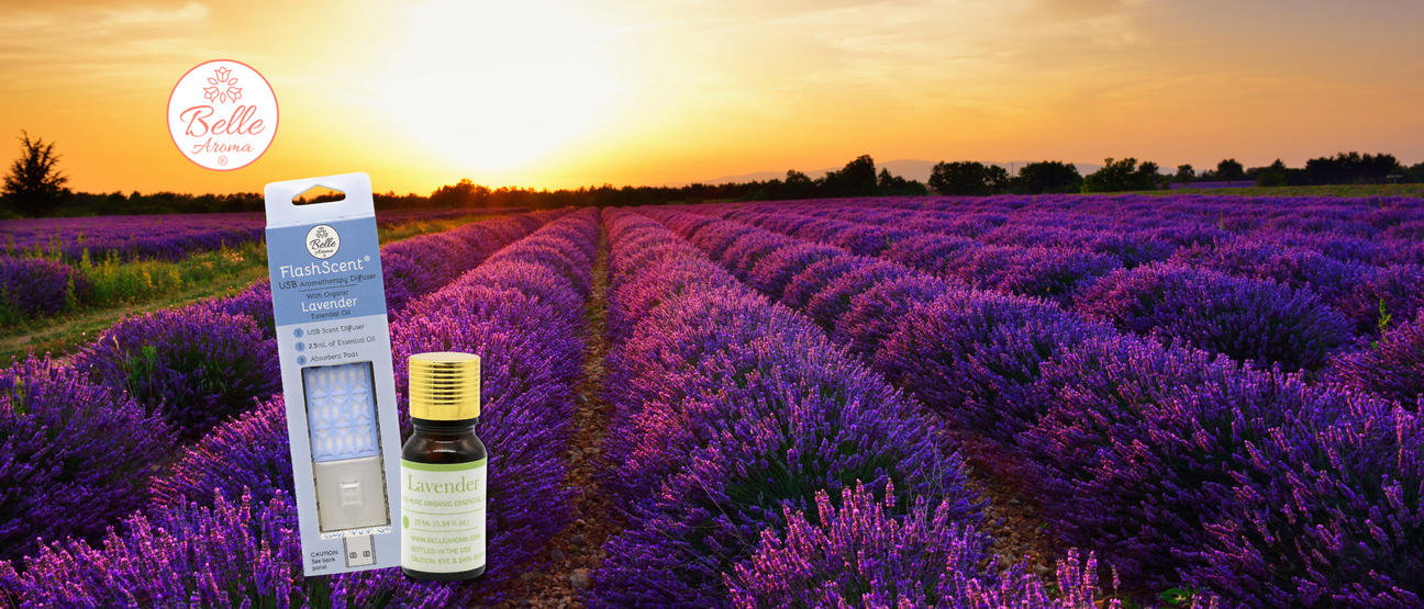 The Scent of a Memory… Twister Chronicles with Lavender Essential Oil