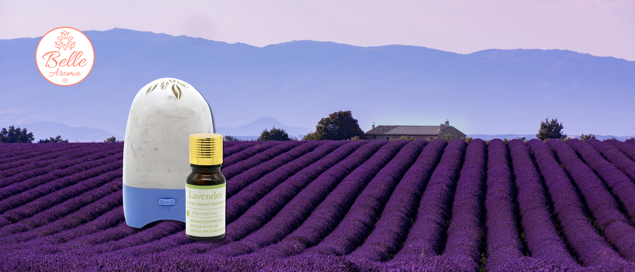 The Nostalgic Nose: Winding Down with Lavender