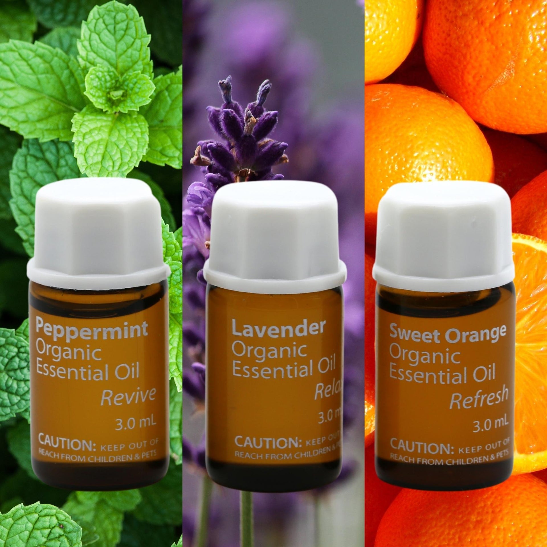 3 in 1 Essential Oil Sampler (Case of 12)