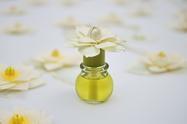 Fleur Aromatique (Case of 6)