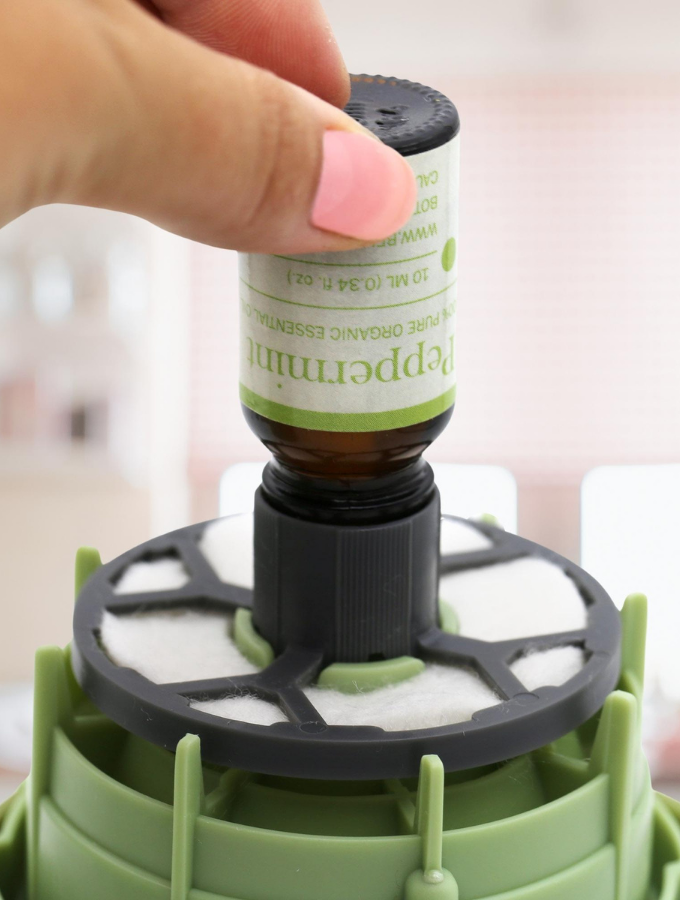 100% Organic Essential Oils